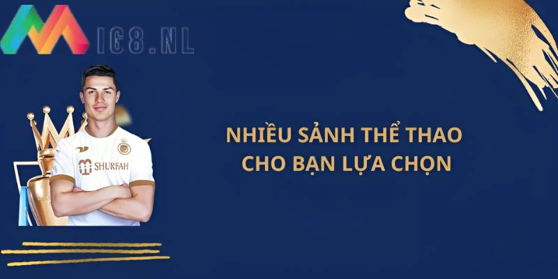 Thông tin cơ bản về sảnh thể thao Mig8