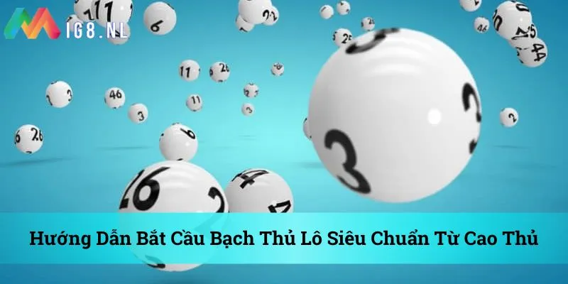 hướng dẫn bắt cầu bạch thủ lô siêu chuẩn