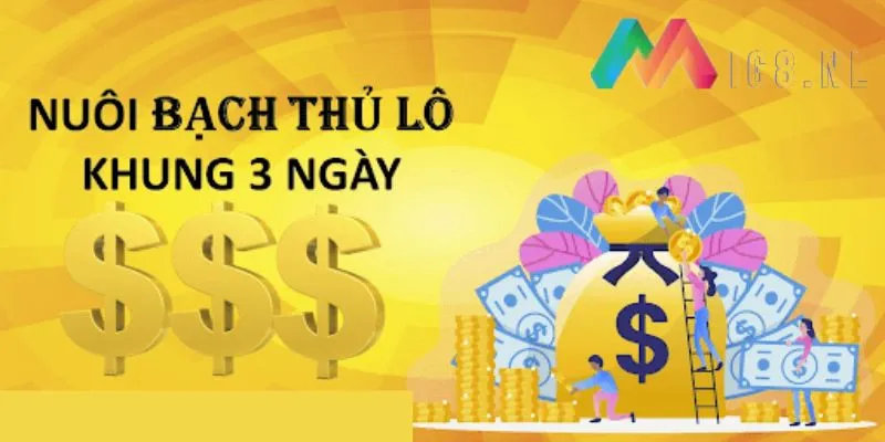 Tìm hiểu về bạch thủ lô khung 3 ngày chuẩn