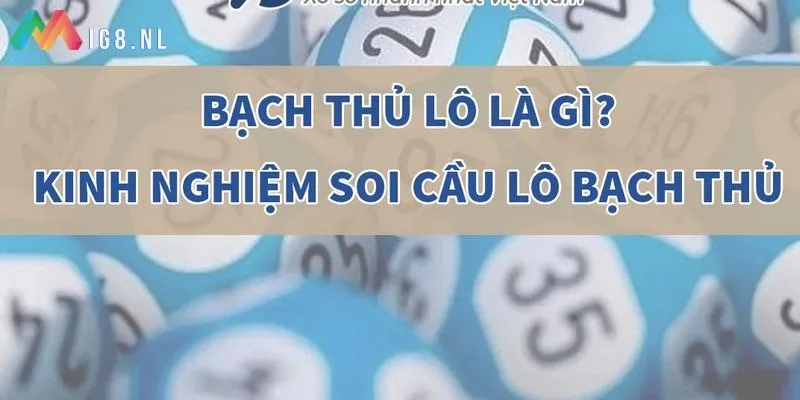 Hướng dẫn bắt cầu bạch thủ lô hằng ngày