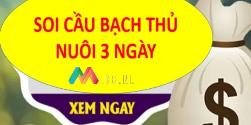 bắt cầu bạch thủ lô khung 3 ngày