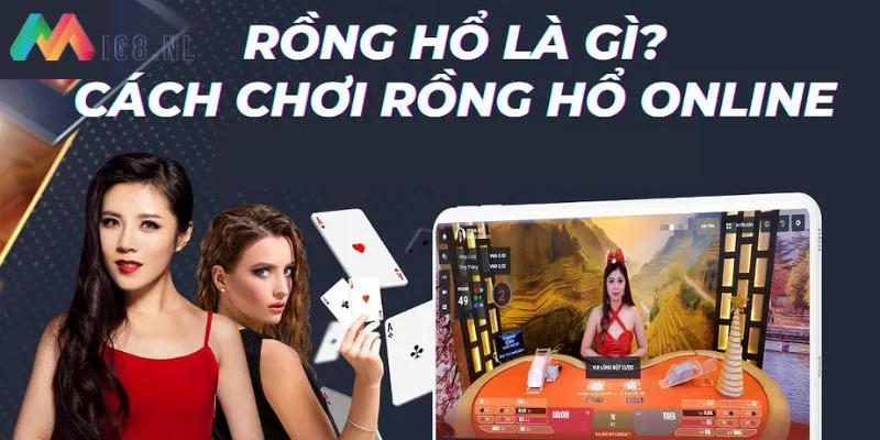 Tham khảo cách chơi rồng hổ online luôn thắng