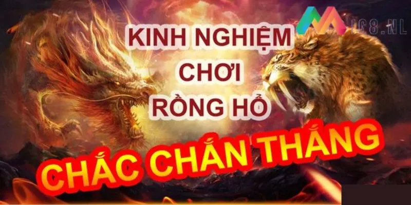 Mẹo chơi rồng hổ online cực chuẩn cho tân thủ 