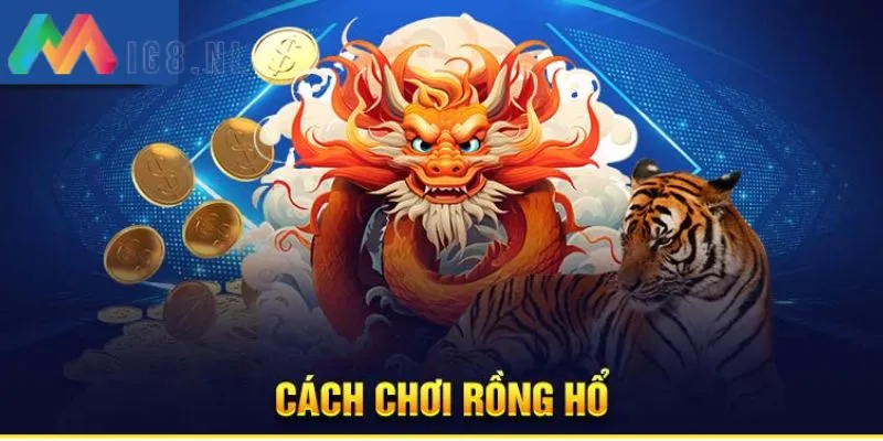 Hướng dẫn chơi rồng hổ online 